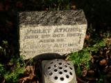 image of grave number 693044